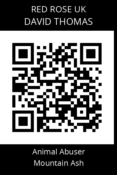 QR code for david-thomas-10