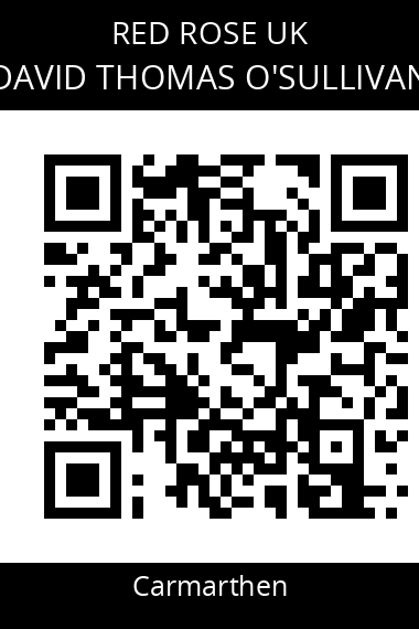 QR code for david-thomas-osullivan