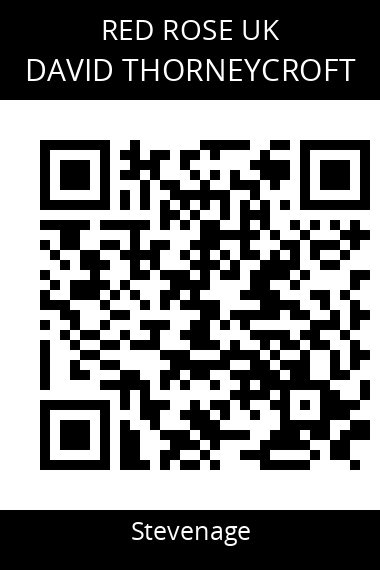 QR code for david-thorneycroft-5qwybe