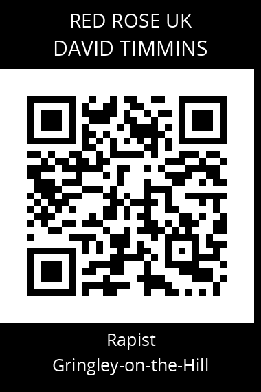QR code for david-timmins