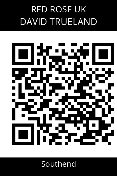 QR code for david-trueland-bb71ok