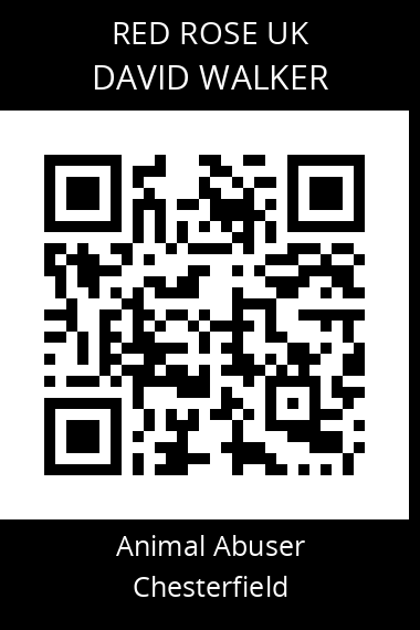 QR code for david-walker-6