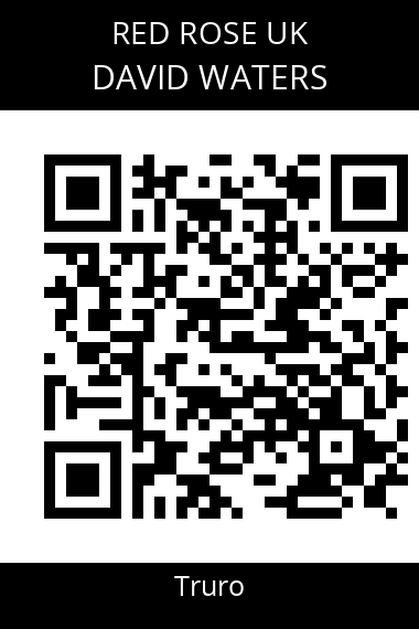 QR code for david-waters-cbud1m