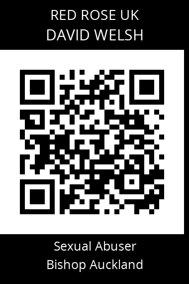 QR code for david-welsh