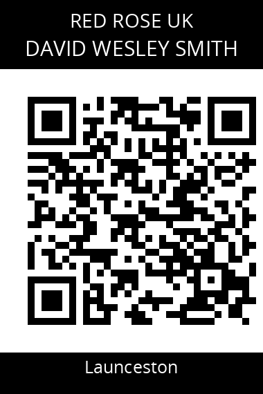 QR code for david-wesley-smith