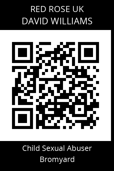 QR code for david-williams-20