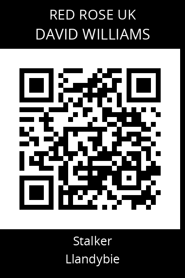 QR code for david-williams-22