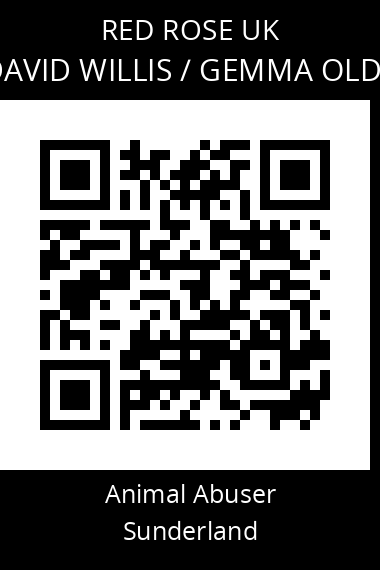 QR code for david-willis