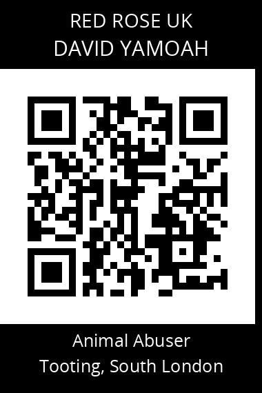 QR code for david-yamoah