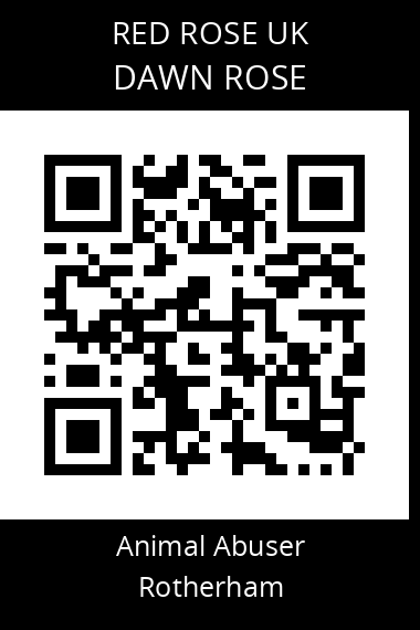 QR code for dawn-rose