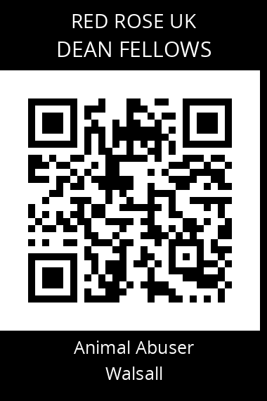 QR code for dean-fellows