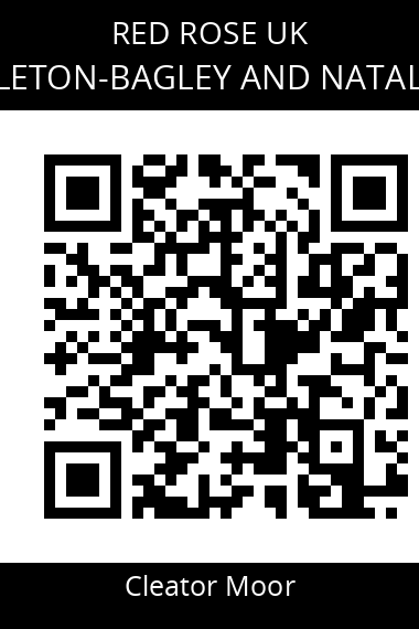 QR code for dean-singleton-bagley-and-natalie-graham