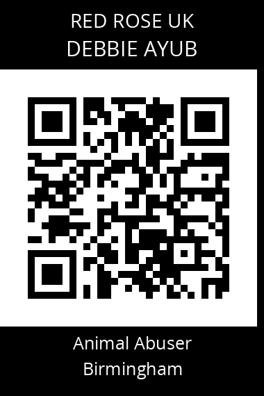 QR code for debbie-ayub