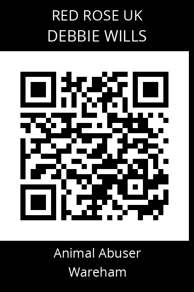 QR code for debbie-wills