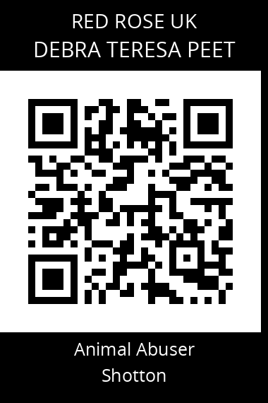 QR code for debra-teresa-peet