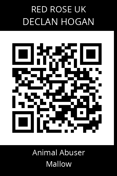 QR code for declan-hogan