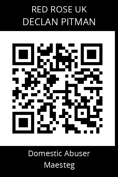 QR code for declan-pitman