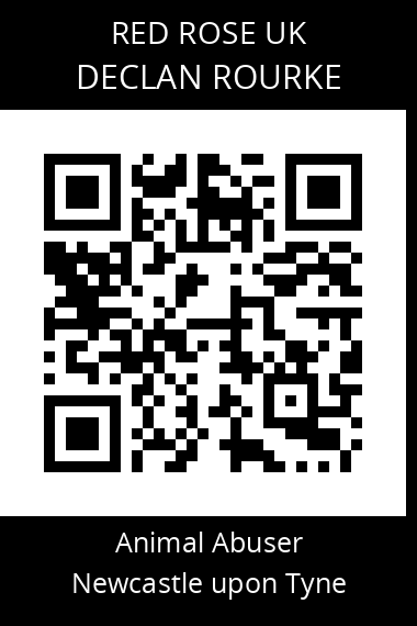 QR code for declan-rourke