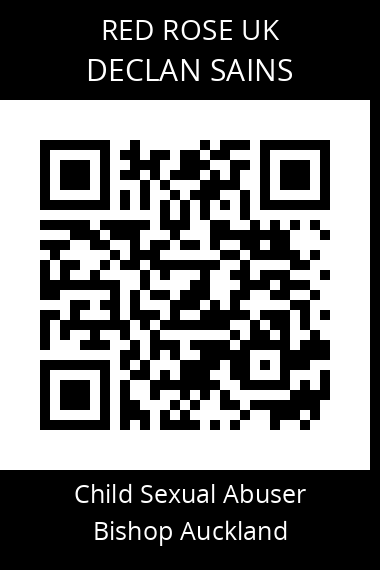QR code for declan-sains