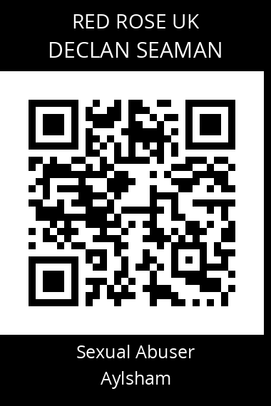 QR code for declan-seaman