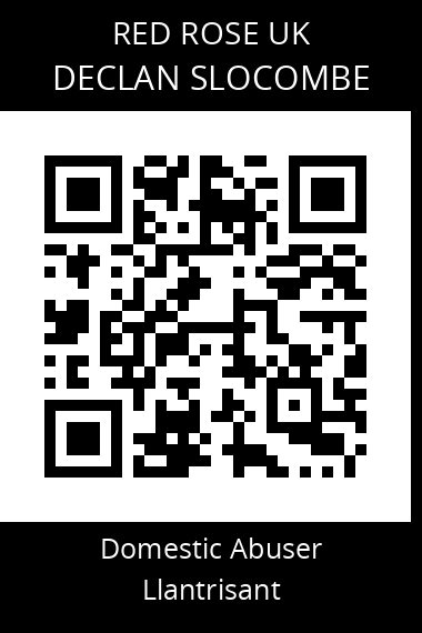 QR code for declan-slocombe