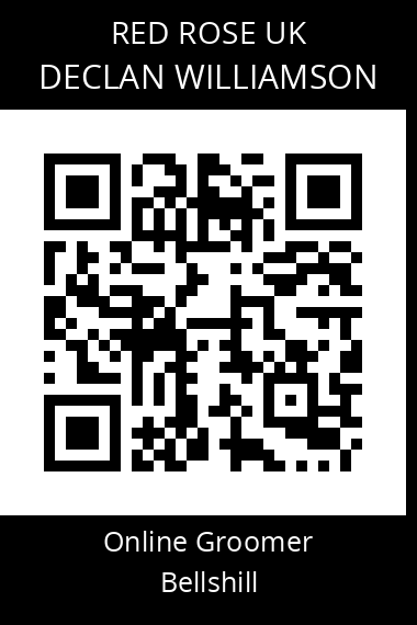 QR code for declan-williamson