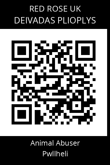 QR code for deivadas-plioplys