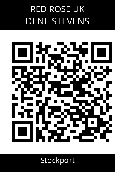QR code for dene-stevens-2tt1sf