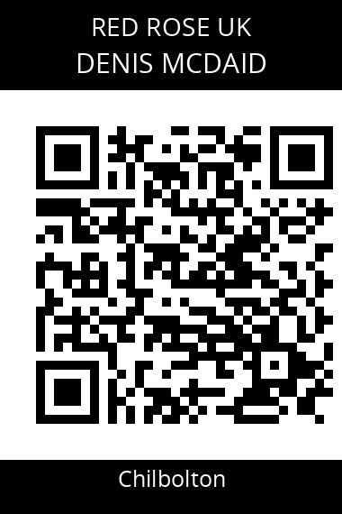 QR code for denis-mcdaid-2ondk1