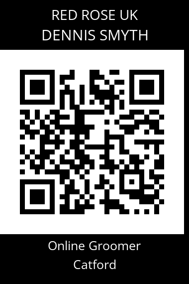 QR code for dennis-smyth