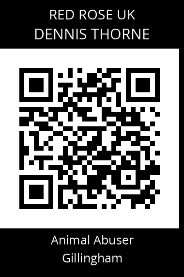QR code for dennis-thorne
