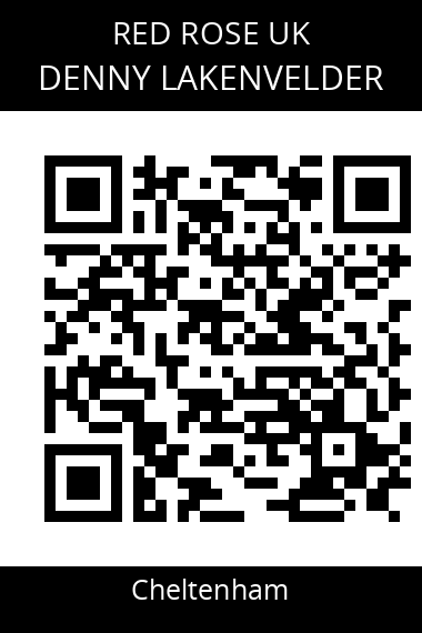 QR code for denny-lakenvelder-1