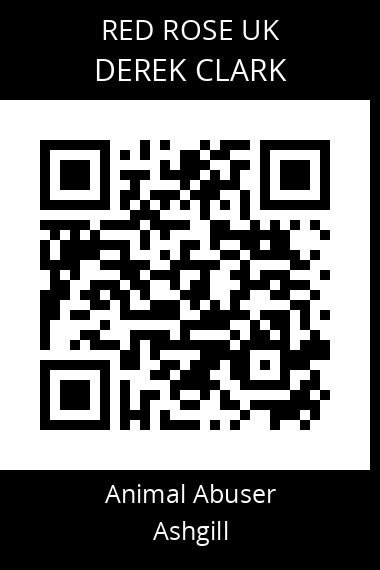 QR code for derek-clark-1