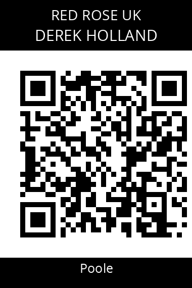 QR code for derek-holland-vzuesd