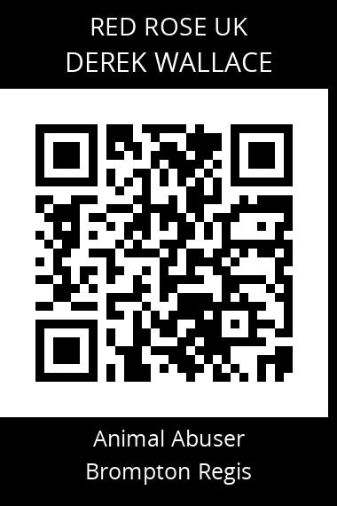 QR code for derek-wallace