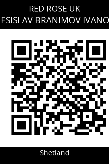 QR code for desislav-branimov-ivanov