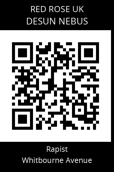 QR code for desun-nebus