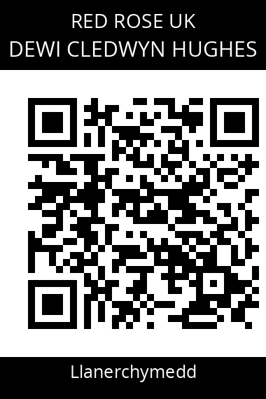 QR code for dewi-cledwyn-hughes