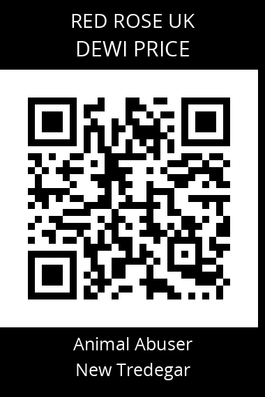 QR code for dewi-price