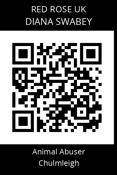 QR code for diana-swabey