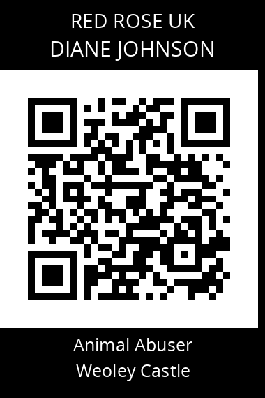 QR code for diane-johnson
