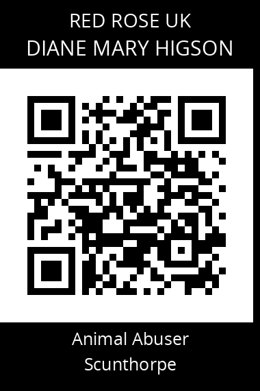 QR code for diane-mary-higson