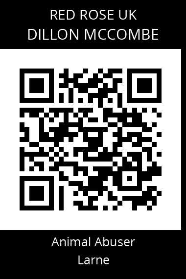 QR code for dillon-mccombe