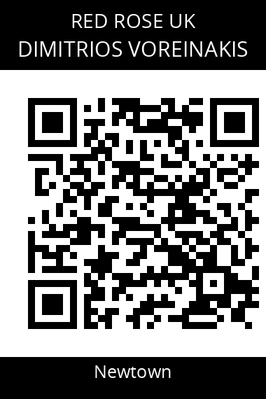 QR code for dimitrios-voreinakis