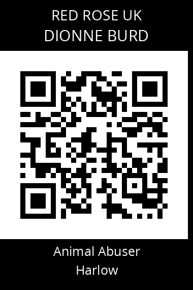 QR code for dionne-burd