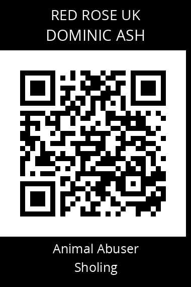 QR code for dominic-ash