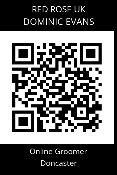 QR code for dominic-evans