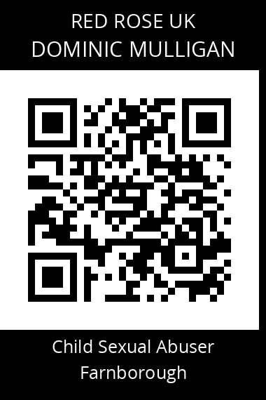 QR code for dominic-mulligan