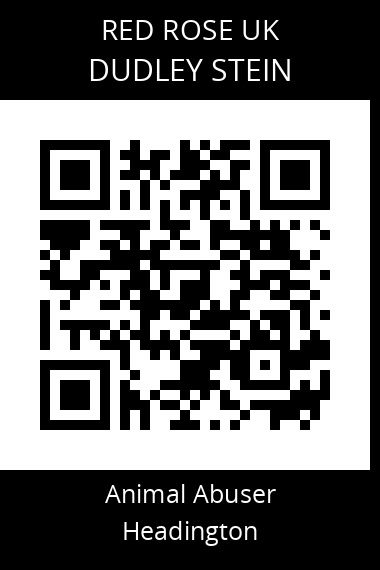 QR code for dudley-stein