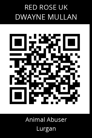 QR code for dwayne-mullan